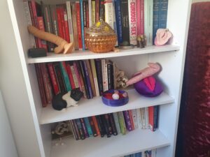 Picture of Lucy's real bookshelf with various books on sex, pleasure, relationships, trauma, and more. It also has her vulva pillow, an old Ann Summers dildo, crystals, and a guinea pig statute.