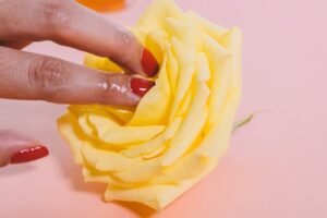 Wet fingers with red nail polish suggestively touch yellow flower on pink background. Postpartum, postpartum sex, orgasms